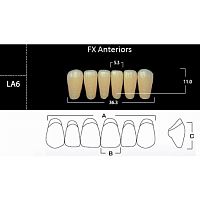 FX Anteriors - Зубы акриловые двухслойные, фронтальные нижние, цвет C1, фасон LA6, 6 шт