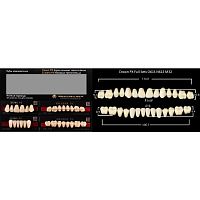 Зубы PX CROWN / EFUCERA, цвет B3, фасон O61S/N61S/32, полный гарнитур, 28шт.