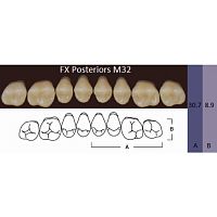 FX Posteriors - Зубы акриловые двухслойные, боковые верхние, цвет D2, фасон М32, 8 шт