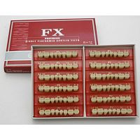 FX Posteriors - Зубы акриловые двухслойные, боковые нижние, цвет 56, фасон S32, 8 шт 