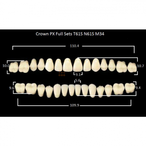 Зубы PX CROWN / EFUCERA, цвет C2, фасон T61S/N61S/34, полный гарнитур, 28шт. фото 2