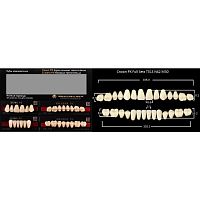 Зубы PX CROWN / EFUCERA, цвет C1, фасон T51S/N42/30, полный гарнитур, 28шт.