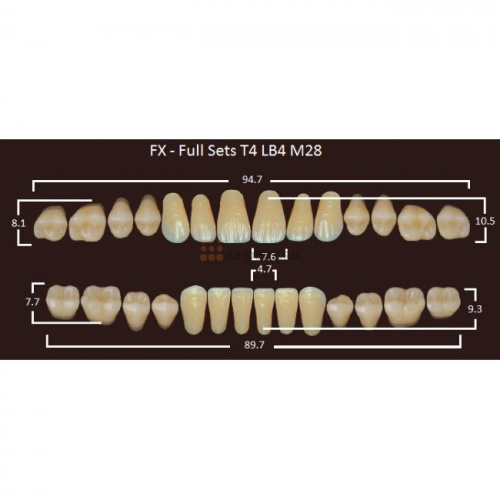 FX зубы акриловые двухслойные, полный гарнитур (28 шт.) на планке, A3.5, T4/LB4/M28