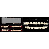 Зубы PX CROWN / EFUCERA, цвет W05, фасон C41/N41/32, полный гарнитур, 28шт.