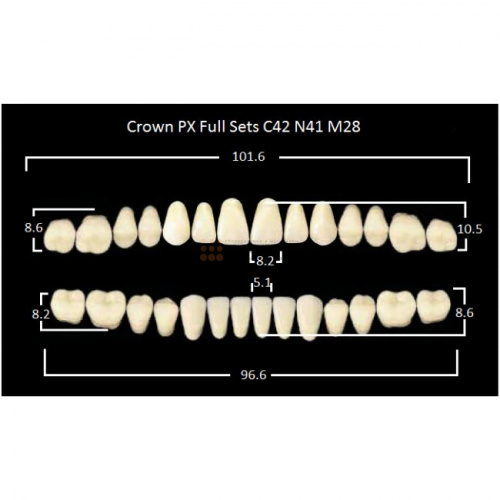 Зубы PX CROWN / EFUCERA, цвет B4, фасон C42/N41/28, полный гарнитур, 28шт. фото 2