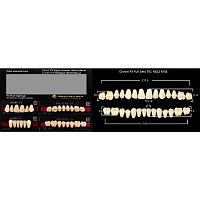 Зубы PX CROWN / EFUCERA, цвет A3,5, фасон T61/N61S/34, полный гарнитур, 28шт.