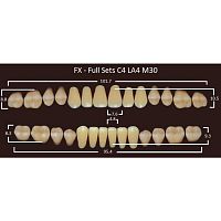 FX зубы акриловые двухслойные, полный гарнитур (28 шт.) на планке, A2, C4/LA4/M30