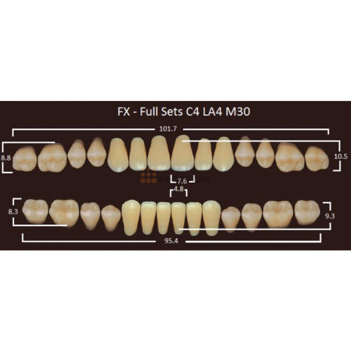 FX зубы акриловые двухслойные, полный гарнитур (28 шт.) на планке, D2, C4/LA4/M30