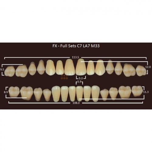 FX зубы акриловые двухслойные, полный гарнитур (28 шт.) на планке, A4, C7/LA7/M33