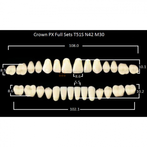 Зубы PX CROWN / EFUCERA, цвет B4, фасон T51S/N42/30, полный гарнитур, 28шт. фото 2