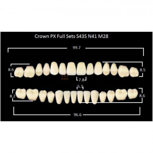Зубы PX CROWN / EFUCERA, цвет B4, фасон S43S/N41/28, полный гарнитур, 28шт. фото 2