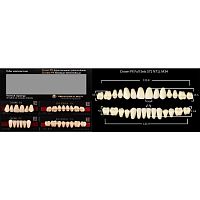 Crown PX полный гарнитур C2 (Зубы PX CROWN / EFUCERA, цвет C2, фасон S71/N71L/34, полный га S71/N71L, EFUCERA 34) - зубы композитные трёхслойные, 28шт