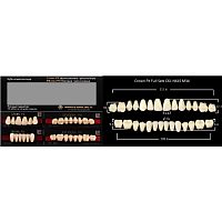 Зубы PX CROWN / EFUCERA, цвет A3, фасон C61/N61S/34, полный гарнитур, 28шт.