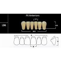 FX Anteriors - Зубы акриловые двухслойные, фронтальные нижние, цвет D2, фасон LB6, 6 шт