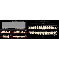 Зубы PX CROWN / EFUCERA, цвет A2, фасон S81/N81/36, полный гарнитур, 28шт.