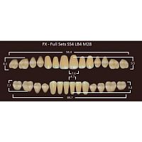 FX зубы акриловые двухслойные, полный гарнитур (28 шт.) на планке, C1, SS4/LB4/M28