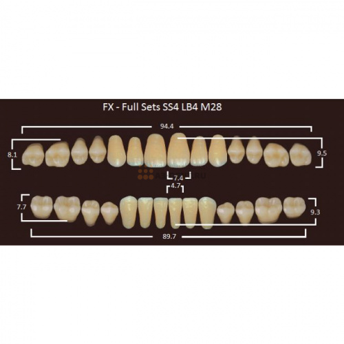 FX зубы акриловые двухслойные, полный гарнитур (28 шт.) на планке, A3, SS4/LB4/M28