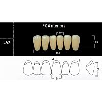 FX Anteriors - Зубы акриловые двухслойные, фронтальные нижние, цвет C2, фасон LA7, 6 шт