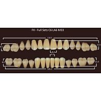 FX зубы акриловые двухслойные, полный гарнитур (28 шт.) на планке, C2, C6/LA6/M33