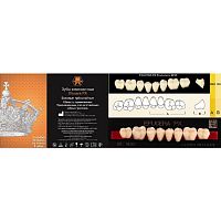 Зубы EFUCERA PX Posteriors, цвет B4, фасон 30, композитные трехслойные боковые нижние, 8 штук на планке.