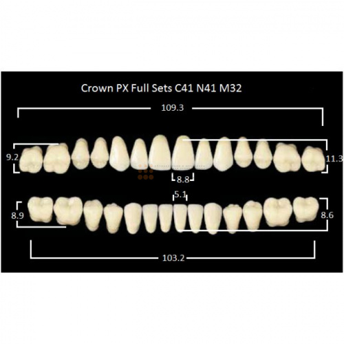 Зубы PX CROWN / EFUCERA, цвет C4, фасон C41/N41/32, полный гарнитур, 28шт. фото 2