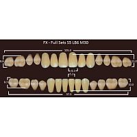 FX зубы акриловые двухслойные, полный гарнитур (28 шт.) на планке, C2, S5/LB6/M30