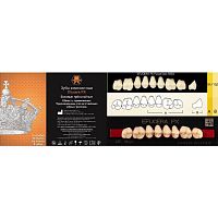 Зубы EFUCERA PX Posteriors, цвет B2, фасон 34, композитные трехслойные боковые верхние, 8 штук на планке.