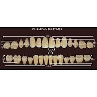 FX зубы акриловые двухслойные, полный гарнитур (28 шт.) на планке, A4, S6/LB7/M33