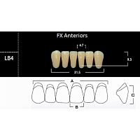 FX Anteriors - Зубы акриловые двухслойные, фронтальные нижние, цвет B2, фасон LB4 6 шт