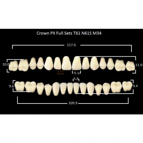 Зубы PX CROWN / EFUCERA, цвет A1, фасон T61/N61S/34, полный гарнитур, 28шт. фото 2