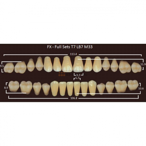 FX зубы акриловые двухслойные, полный гарнитур (28 шт.) на планке, D3, T7/LB7/M33
