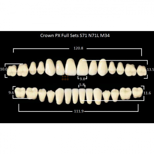 Зубы PX CROWN / EFUCERA, цвет C3, фасон S71/N71L/34, полный гарнитур, 28шт. фото 2