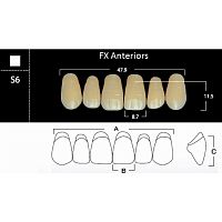 FX Anteriors - Зубы акриловые двухслойные, фронтальные верхние, цвет A2, фасон S6, 6 шт