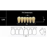 FX Anteriors - Зубы акриловые двухслойные, фронтальные нижние, цвет B1, фасон LA4, 6 шт