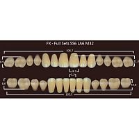 FX зубы акриловые двухслойные, полный гарнитур (28 шт.) на планке, A3.5, SS6/LA6/M32