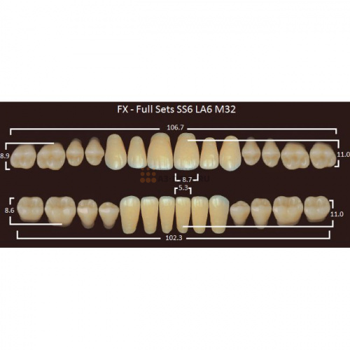 FX зубы акриловые двухслойные, полный гарнитур (28 шт.) на планке, D3, SS6/LA6/M32