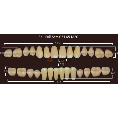 FX зубы акриловые двухслойные, полный гарнитур (28 шт.) на планке, C1, C5/LA5/M30