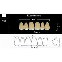 FX Anteriors - Зубы акриловые двухслойные, фронтальные верхние, цвет B1, фасон SS5, 6 шт