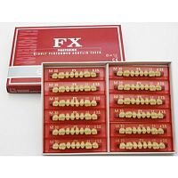 FX Posteriors - Зубы акриловые двухслойные боковые верхние, фасон S32, цвет A3,5, 8 шт