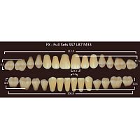 FX зубы акриловые двухслойные, полный гарнитур (28 шт.) на планке, C2, SS7/LB7/M33