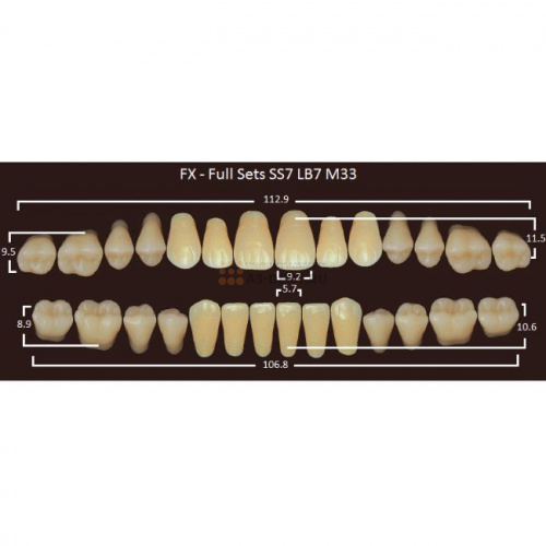 FX зубы акриловые двухслойные, полный гарнитур (28 шт.) на планке, A4, SS7/LB7/M33