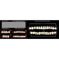 Зубы PX CROWN / EFUCERA, цвет A1, фасон T61S/N61S/34, полный гарнитур, 28шт.