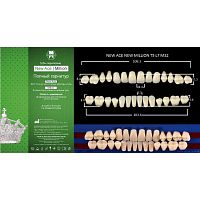 Зубы NEW ACE/NEW MILLION, цвет B4, фасон T5/L7/M32, полный гарнитур, 28шт.