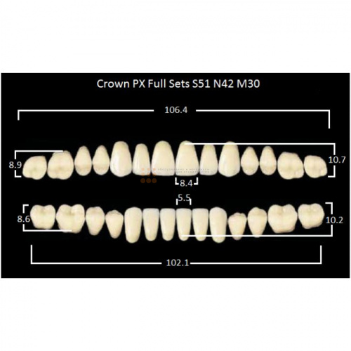 Зубы PX CROWN / EFUCERA, цвет A2, фасон S51/N42/30, полный гарнитур, 28шт. фото 2