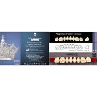 Зубы NAPERCE Posterior, цвет B1, фасон М30, акриловые двухслойные, 8 шт.