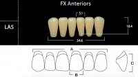 FX Anteriors - Зубы акриловые двухслойные, фронтальные нижние, цвет A1, фасон LA5, 6 шт