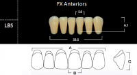 FX Anteriors - Зубы акриловые двухслойные, фронтальные нижние, цвет A1, фасон LB5, 6 шт