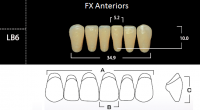 FX Anteriors - Зубы акриловые двухслойные, фронтальные нижние, цвет A1, фасон LB6, 6 шт