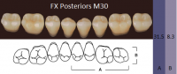 FX Posteriors - Зубы акриловые двухслойные, боковые нижние, цвет A1, фасон М30, 8 шт.