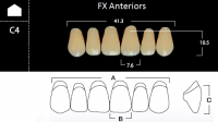 FX Anteriors - Зубы акриловые двухслойные, фронтальные верхние, цвет A1, фасон C4 6 шт